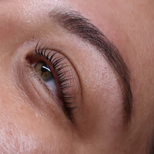 1 year supply lash and brow package at Jaycee Beauty in Long beach, CA