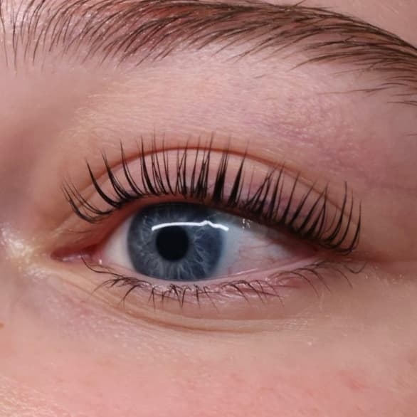 1 year supply Korean lash lift/tint at Jaycee Beauty in Long beach, CA